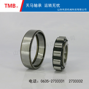 圆柱滚子轴承-NF314EC3