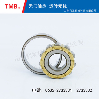 圆柱滚子轴承-N304EM