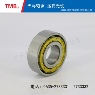 圆柱滚子轴承-N332EMC3