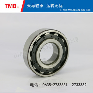 圆柱滚子轴承-NF316EM